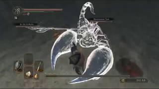 [Boss Fight] How To Kill Scorpioness Najka | Dark Souls II: Scholar of the First Sin Co-op