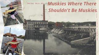 Muskies Where There Shouldn't Be Muskies