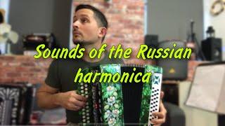 Incredible electronic harmonica  Russian harmonica sounds