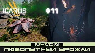 ICARUS # 11 Выживание/прохождение "Любопытный урожай"