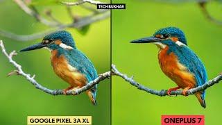 Google Pixel 3A XL vs Oneplus 7 Camera Comparison Test || #oneplus7, #pixel3axl #TECHBUKHAR