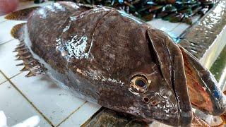 Amazing Fish Cutting Skills | 14 kg Giant Goliath Grouper Fish