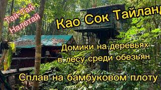 Као Сок Тайланд, отель из домиков на деревьях в тропическом лесу, сплав на бамбуковом плоту