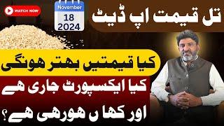 Till Price in Pakistan Today | Till Rate in Punjab | Sesame Seeds Export | November 2024