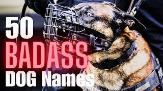 50 Badass Dog Names for Male Dogs: Unleash Your Dog's Inner Warrior!