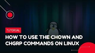 How to use the "chown" and "chgrp" commands on Linux | VPS Tutorial