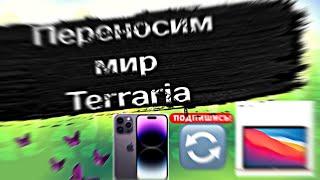 Как перенести мир террарии на пк??? ответ тут⬆️⬆️⬆️️️️