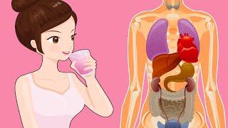 She Drank Water on an Empty Stomach for a Month and Here’s What Happened  - Health Benefits Of water