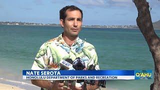 Kailua Beach Park dune project aims to restore eroding shoreline