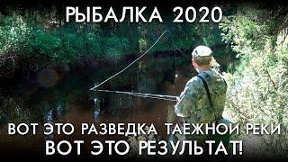 ВОТ ЭТО РАЗВЕДКА ТАЕЖНОЙ РЕКИ ВОТ ЭТО РЕЗУЛЬТАТ / РЫБАЛКА 2020