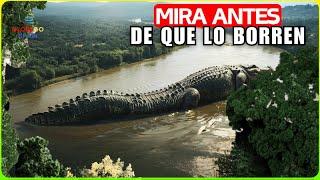 ¡Científico ESTUPEFACTO! ¡Un Drone Captura Un DESCUBRIMIENTO ASOMBROSO EN EL AMAZONAS- Documental!