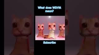 What does WDYM mean? #viral