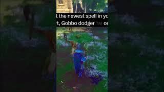 MAGIC IS COMING TO DRAGONWILDS - SURGE SPELL SHOWCASE!