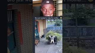 Bro just wanted to help #shorts #funny #comedy #fyp #lol #like