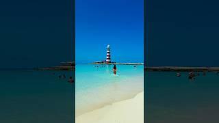 Ocean Cay | MSC Cruises | Marine Reserve | Bahamas | Bucketlist Travel