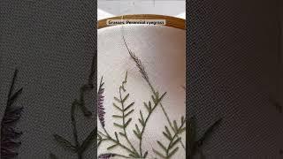 How to embroider grasses. #straightstitch #embroidery #embroideryprocess #embroiderypatterns
