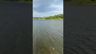 Amazing Lake filled with clean and fresh water #amazing #motivation #viral #youtube #youtubeshorts