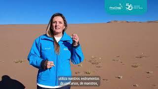 4 Oficina Regional   Atacama