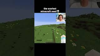 Minecraft Smile Moment