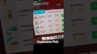 My most expensive fish in fishing simulator #shorts #roblox