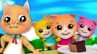 drei kleine Kätzchen | Kätzchen für Kinder | Kätzchen lied | Kinderreime | Three Little Kittens