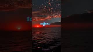  Please Support Gays  #trending #reels #shortfeed #shorts #lovestatus