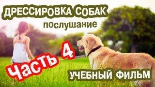 Дрессировка собак (Навыки послушания) Часть 4