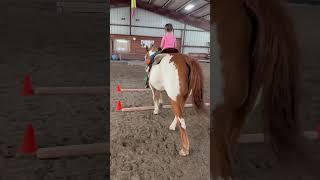 Why is she getting so big  #equestrian #farmlife #horse #toddler
