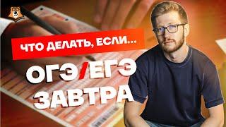 Посмотри это видео, если ОГЭ/ЕГЭ завтра | Обществознание ОГЭ 2022 | Умскул