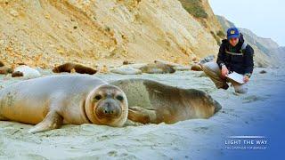 Curiosity leads to transformation at UC Berkeley Biological Sciences