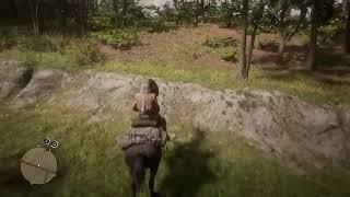 Rdr2 Online boring collecting stream