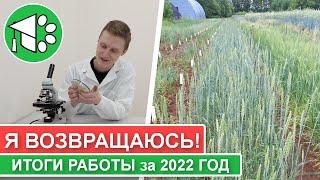 Я ВОЗВРАЩАЮСЬ!| Итоги научной работы за 2022 год | Триходерма в защите растений от фузариоза