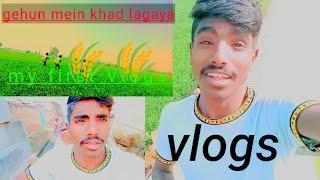 gehun#6 mein khad lagaya #vlogs#mrvipinvlogs#vlogs#youtube Mr Vipin vlogs