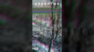 карантин_5/2