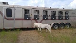 USED 1998 Travalong Liberty 6H