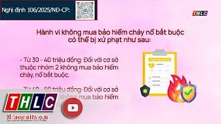 Từ 1/7/2025, không mua bảo hiểm cháy nổ bắt buộc có thể bị phạt đến 100 triệu đồng | THLC