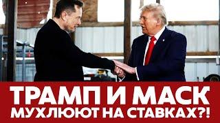 СРОЧНО Трамп и Маск мухлюют на ставках на результат выборов? #новости #выборывсша #трамп #маск