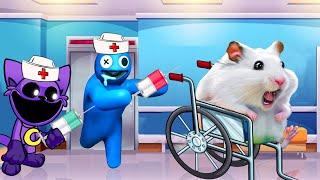 Can Hamster Escape From The Pursuit Of Dr Blue And Catnap!?HAMSTER OBSTACLE COURSEHammyHappyTDC