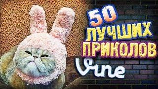 Самые Лучшие Приколы Vine! (ВЫПУСК 157) Лучшие Вайны