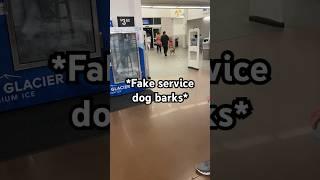 #drama #omg #news #viral #fyp #fakeservicedog #servicedog #walmart #subscribe #blowup #howto