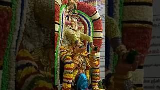 గరుడ సేవ #garuda  seva#festival #perumaltemple #homam #tirumalaseva #sri #garuda #venkatesh #seva
