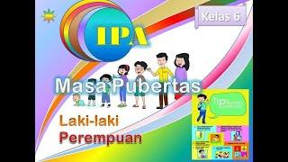 Materi Masa Puberitas Tema 6Kelas 6 SD