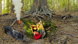 Building a Secret Shelter Deep Inside Big Tree. A Warm and Cozy Bushcraft Dugout