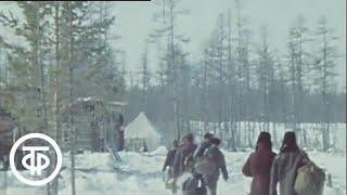 Геологический поиск на трассе БАМ. Эфир 03.04.1977