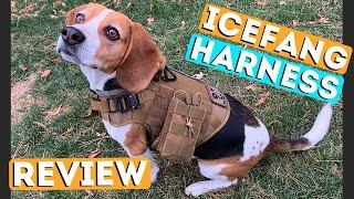 ICEFANG Tactical Dog Harness Review! Best Dog Harness Review!!