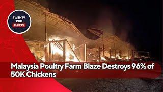 Twenty Two Thirty Exclusive: Malaysia Poultry Farm Blaze Destroys 96% of 50K Chickens