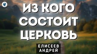 Из кого состоит Церковь. Елисеев А.Н. Проповедь МСЦ ЕХБ