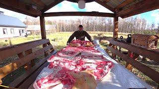 ЖИЗНЬ в ГЛУХОЙ БЕЛОРУССКОЙ ДЕРЕВНЕ. ОСЕНЬ, ВРЕМЯ ВАЛИТЬ КАБАНЧИКА. №323