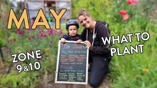 What to Plant in May: Zone 9 & 10 Gardening Tips!