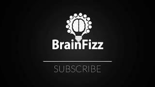 What's brainfizz?